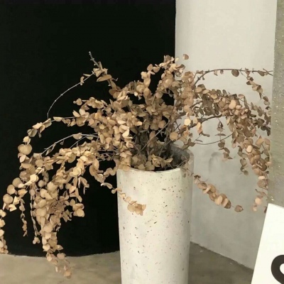 兽设简约风格设计福瑞交流群